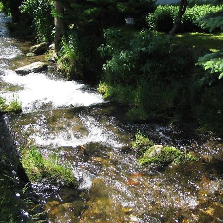 Pension Samohel Rokytnice nad Jizerou Buitenkant foto