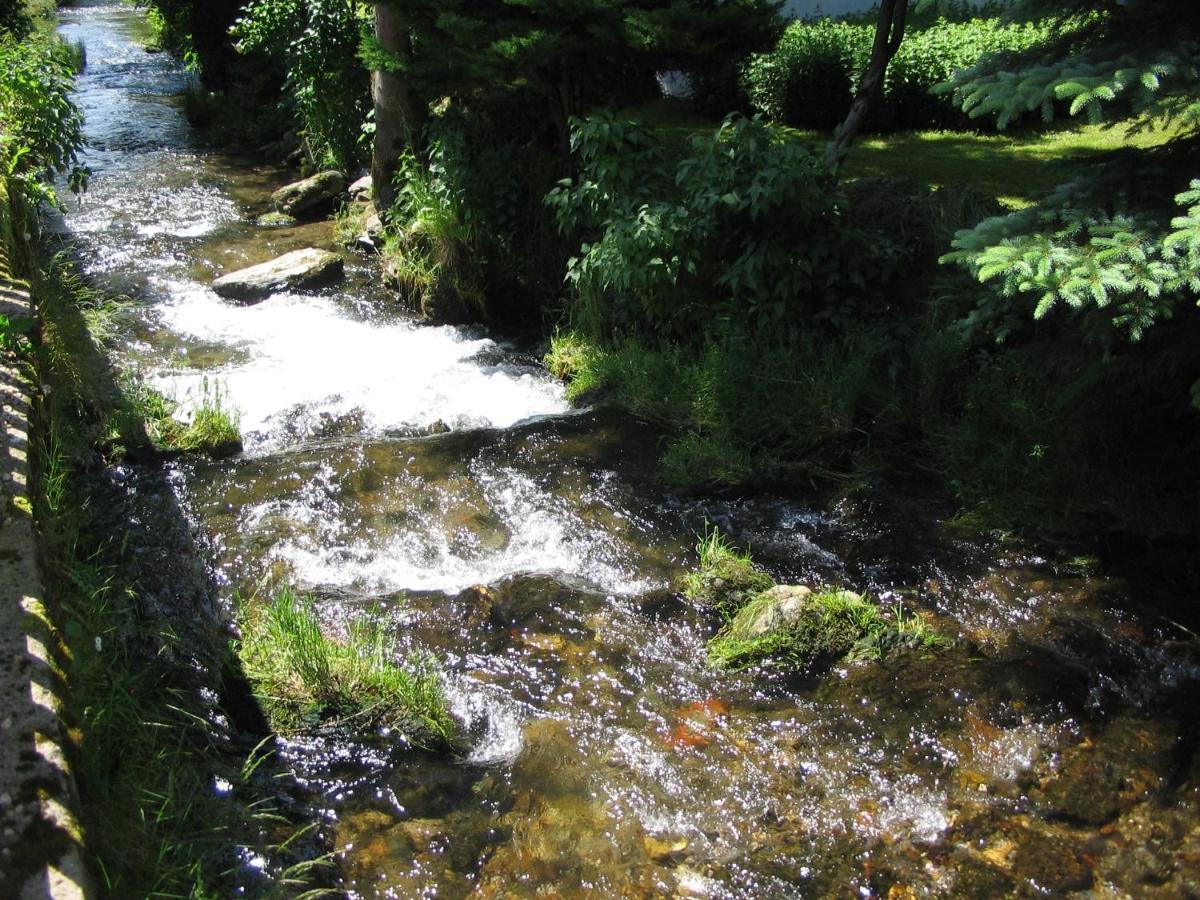 Pension Samohel Rokytnice nad Jizerou Buitenkant foto