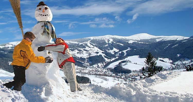 Pension Samohel Rokytnice nad Jizerou Buitenkant foto